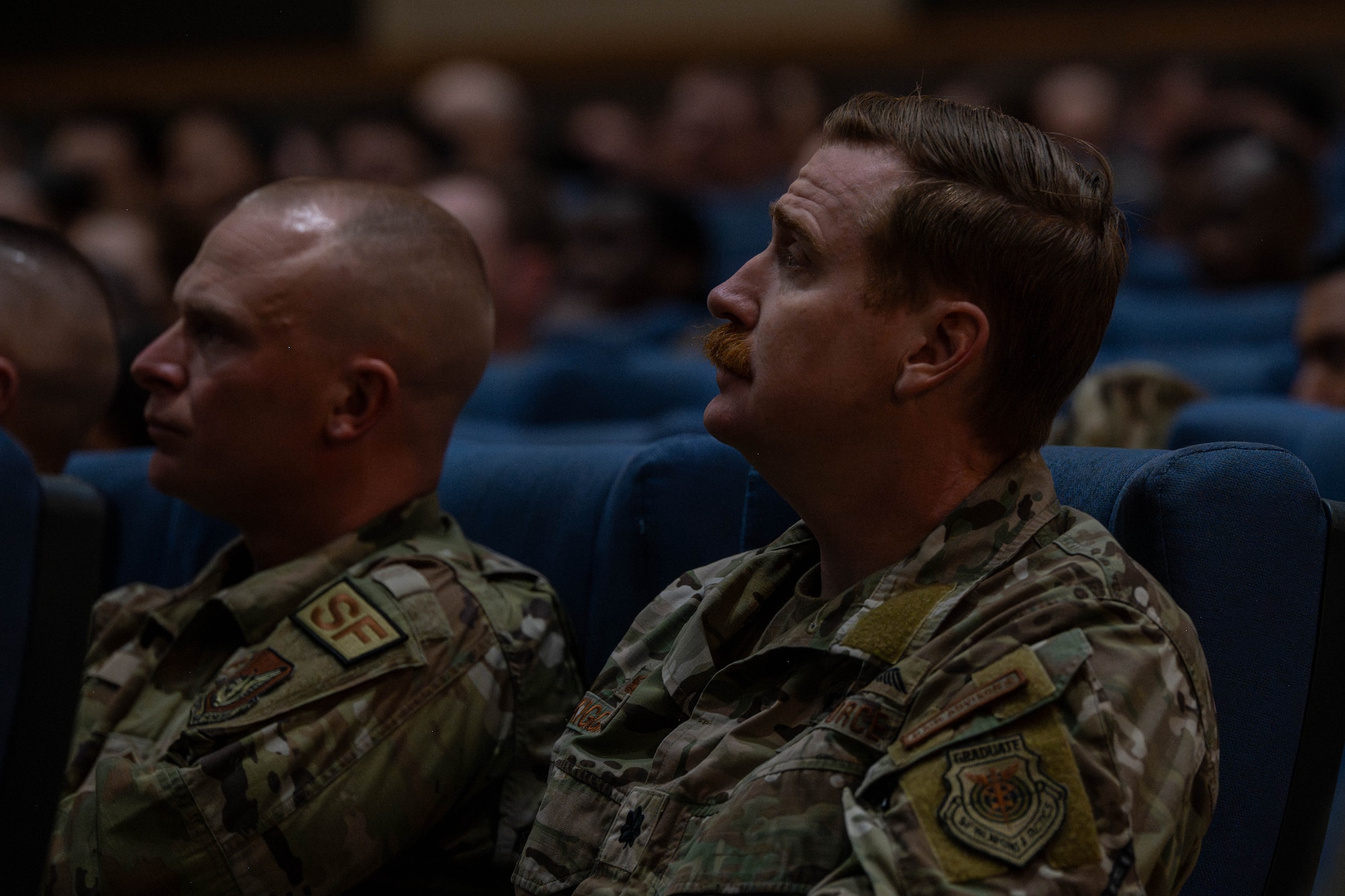 Wolf Pack listen to speaker.