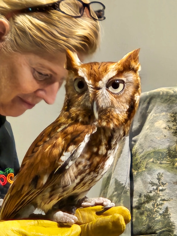 Lady presenting small predatory bird to crowd.