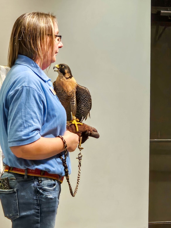 Lady holding a falcon.