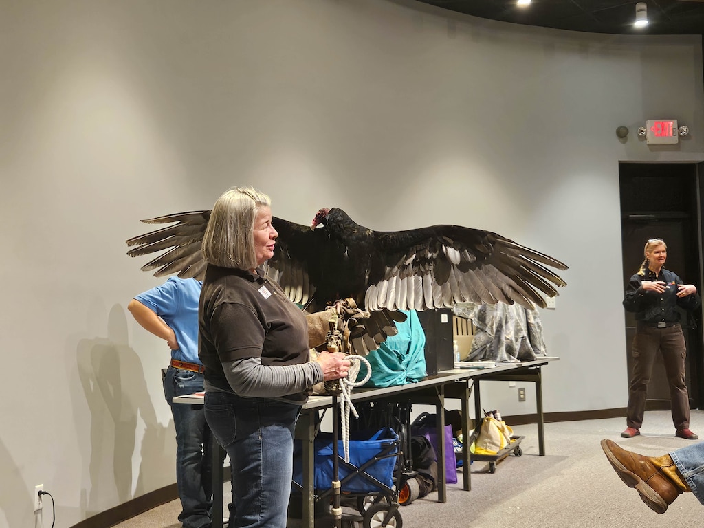 Large predatory bird.