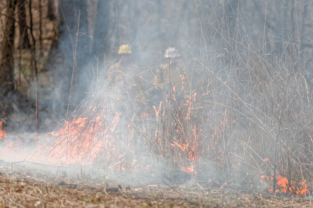 Louisville District Wildland Fire Program Manager Chris DeSmit works with a burn team to conduct a prescribed burn, March 25, 2026 at Barren River Lake in Glasgow, Ky. USACE crews conduct controlled burns during the dormant season to systematically reduce accumulated vegetation and restore native plant life across district lake projects.