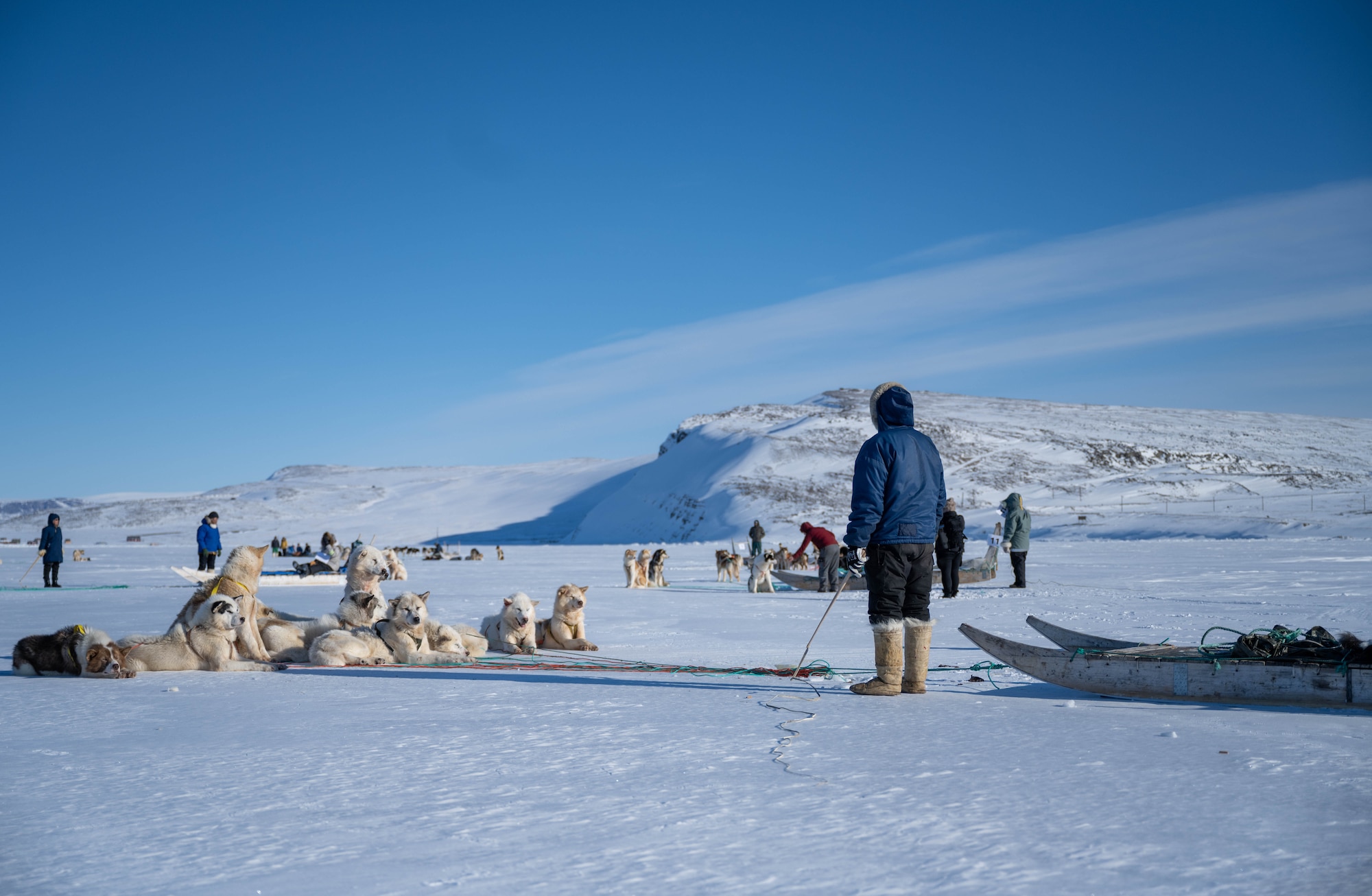 Dog sled handler waits on the ice with his dogs.