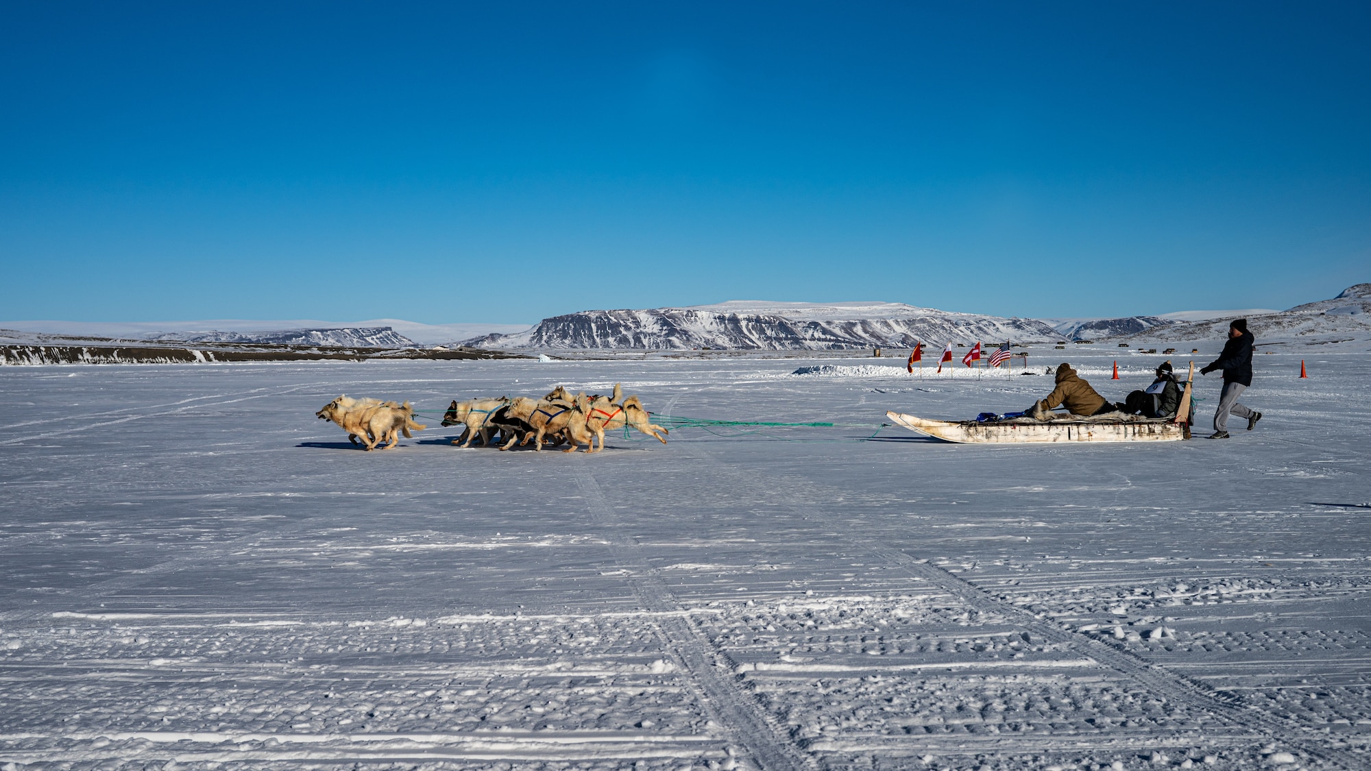 Sled dog team on the ice
