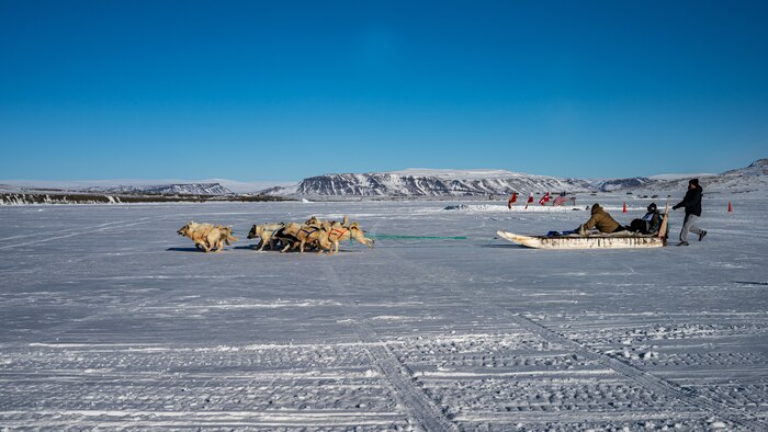 Sled dog team on the ice