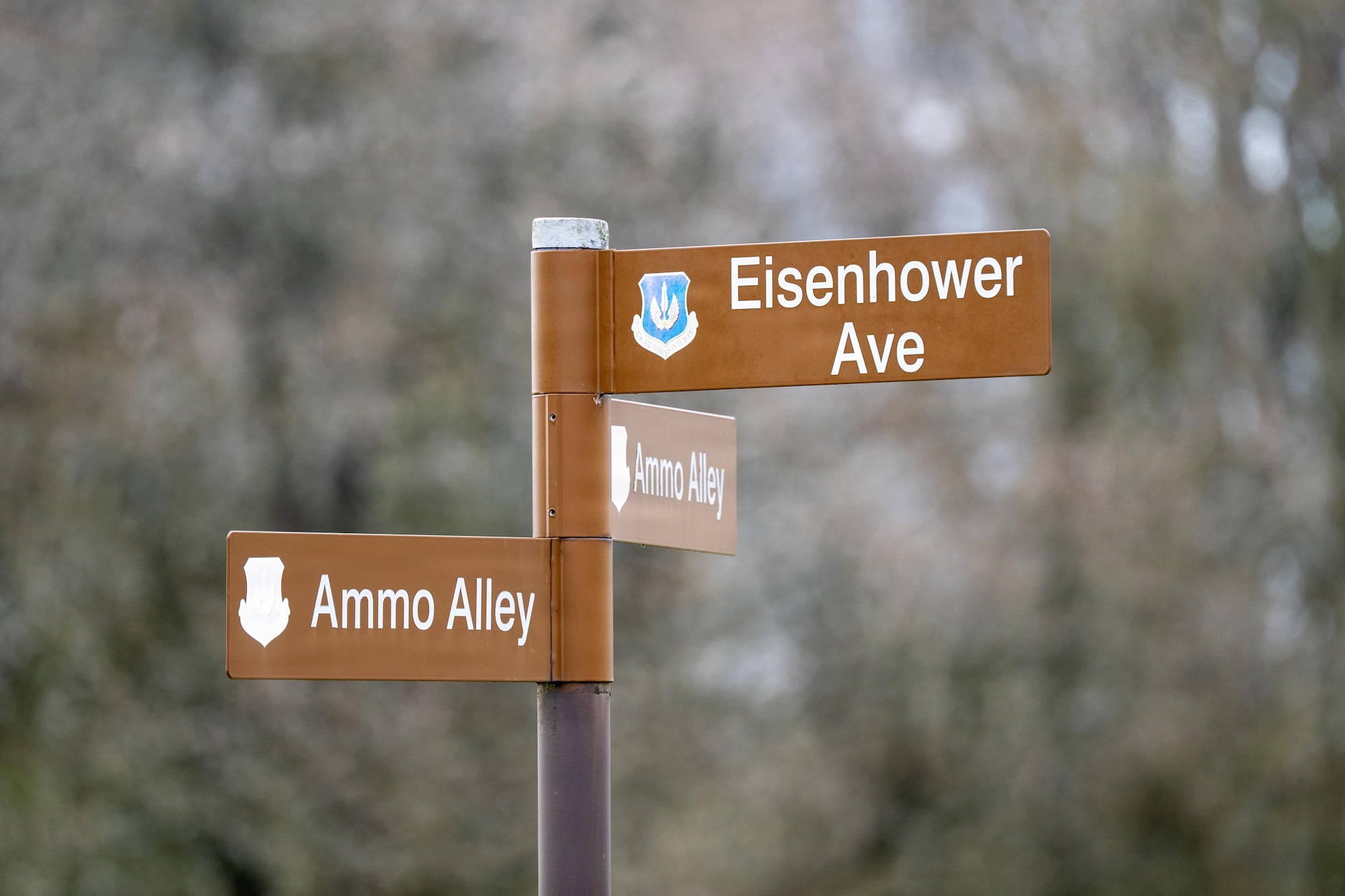 Street signs reading “Eisenhower Ave” and “AMMO Alley”