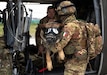 Multinational partners develop K-9 MEDEVAC procedures for working dogs across Kosovo Force