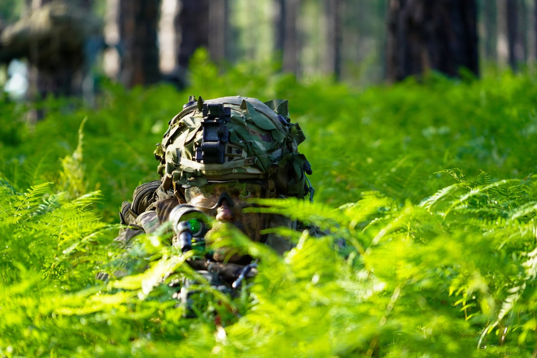 A soldier in tactical gear and camouflage kneels in tall grass while aiming a weapon with blurred woods in the background.