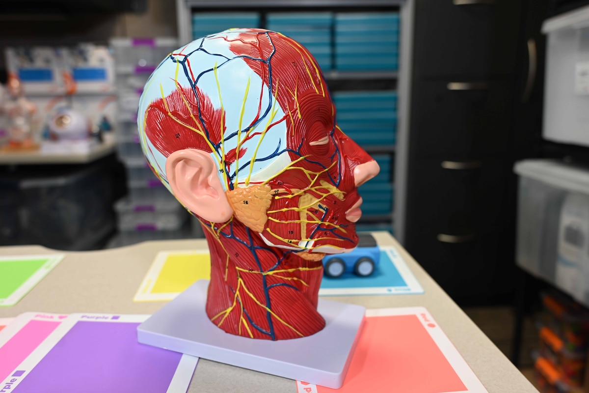 STEM Lending library items