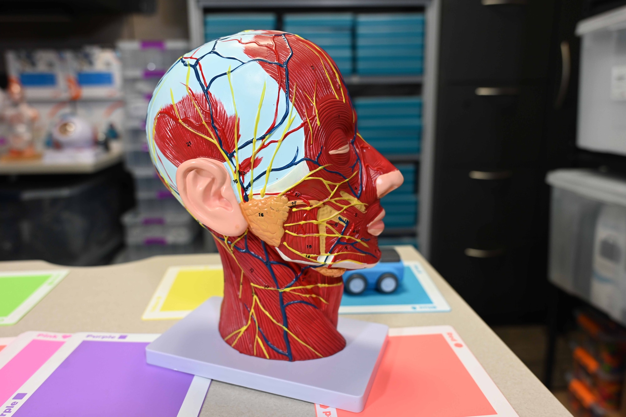 STEM Lending library items