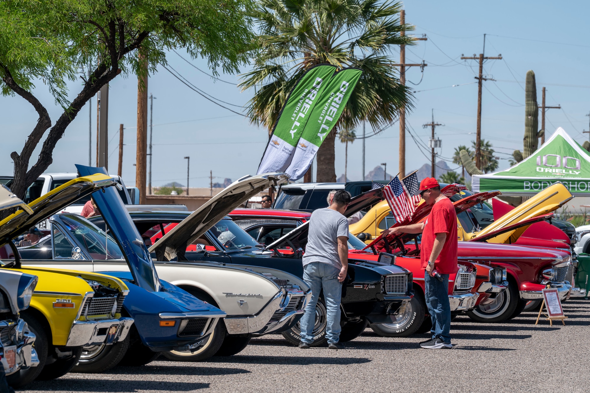 DM50 Picnic and Car Show