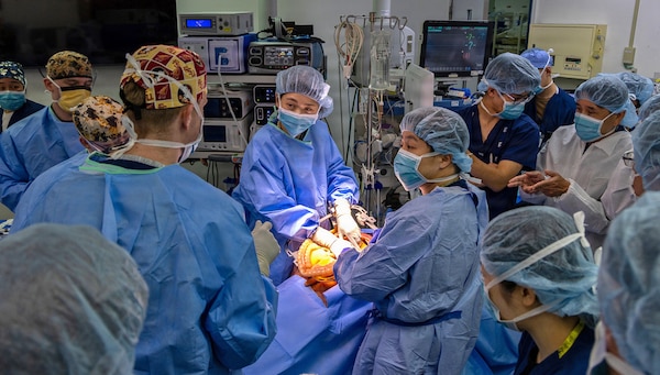 YOKOSUKA, Japan (March 11, 2026) — U.S. Naval Hospital (USNH) Yokosuka and Japan Self-Defense Force (JSDF) Hospital Yokosuka medical personnel conduct simulated surgical procedures using a “cut suit” training system during a bilateral mass casualty drill at USNH Yokosuka. The wearable simulator replicates complex trauma injuries, allowing teams to practice incision, hemorrhage control, and coordinated surgical response in a realistic environment. USNH Yokosuka and JSDF Hospital Yokosuka conducted the drill to enhance joint medical response capabilities and lifesaving procedures in support of a free and open Indo-Pacific. (U.S. Navy photo by Daniel Taylor/U.S. Naval Hospital Yokosuka Public Affairs)