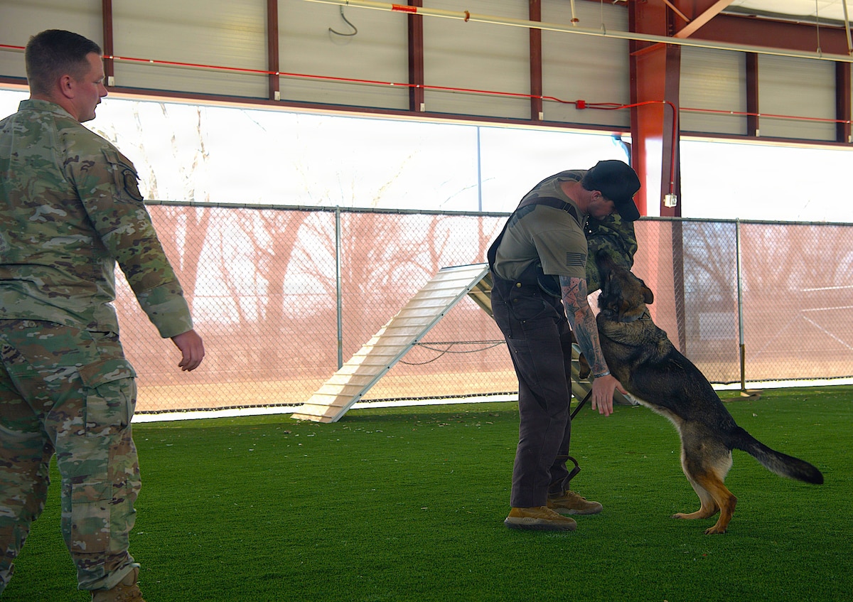 military working dog performs