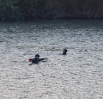 U.S. Border Patrol agents, Texas state troopers and U.S. Army Soldiers assigned to Joint Task Force-Southern Border rescue three illegal aliens attempting to cross the U.S. southern border near Laredo, Texas, April 1, 2026.