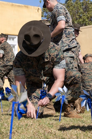 Pinwheels for Prevention