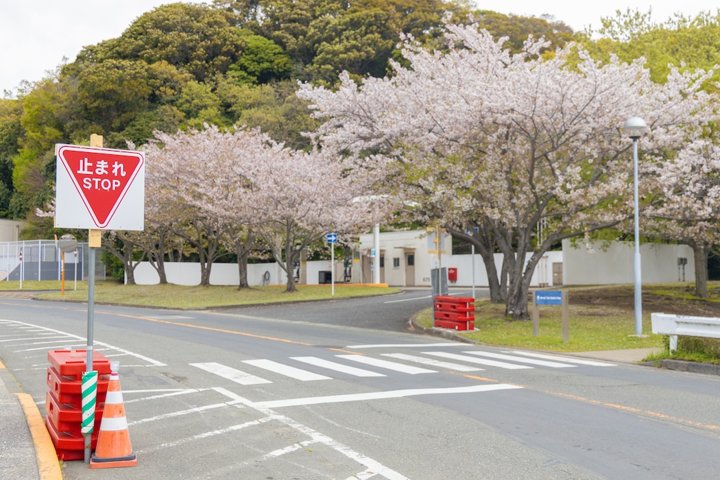 ZUSHI, Japan (April 9, 2026) -- Commander, Fleet Activities Yokosuka (CFAY) Public Works Department installed a stop sign in front of the Ikego Navy Exchange Mini Mart and Jimmuji Station at Ikego Hills Family Housing Area in early April 2026. The sign was placed to improve traffic awareness and enhance pedestrian safety in a heavily traveled area. (U.S. Navy photo by by Sheryl Sullivan)