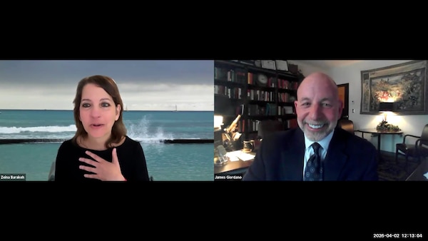 Screengrab of webinar 