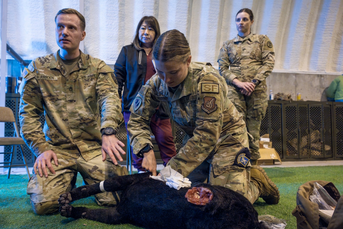 U.S. Army Staff Sgt. Derek Amsden, Army Veterinary Corps animal health specialist, and U.S. Air Force Staff Sgt. Amanda Marinelli, 35th Security Forces Squadron Military working dog handler, demonstrate canine tactical combat casualty care (TCCC) on a training mannequin during a joint bilateral K-9 exercise at Misawa Air Base, Japan, April 6, 2026.