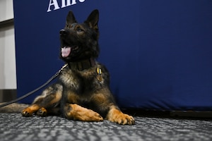U.S. Air Force Military Working Dog Baily, assigned to the 316th Security Support Squadron, received the Air and Space Commendation Medal during his retirement ceremony.
