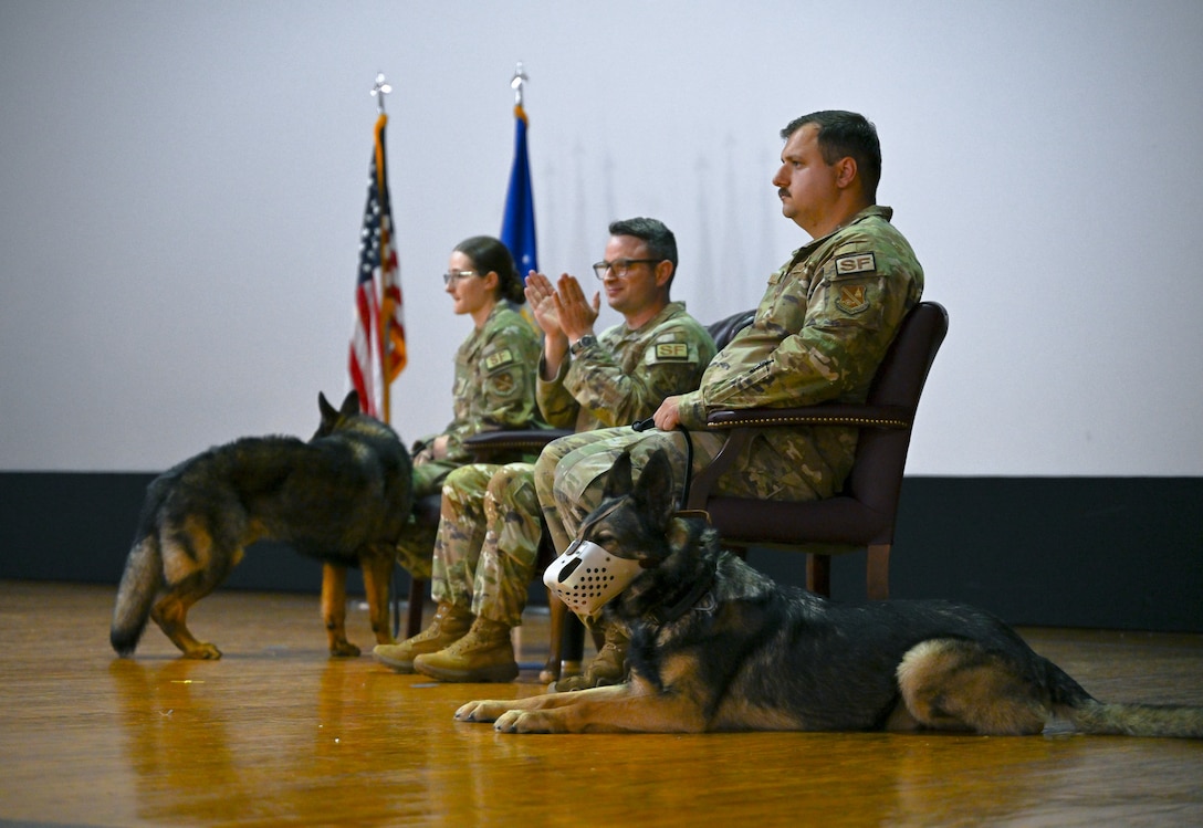U.S. Air Force 316th Security Support Squadron members attend a military working dog retirement ceremony.