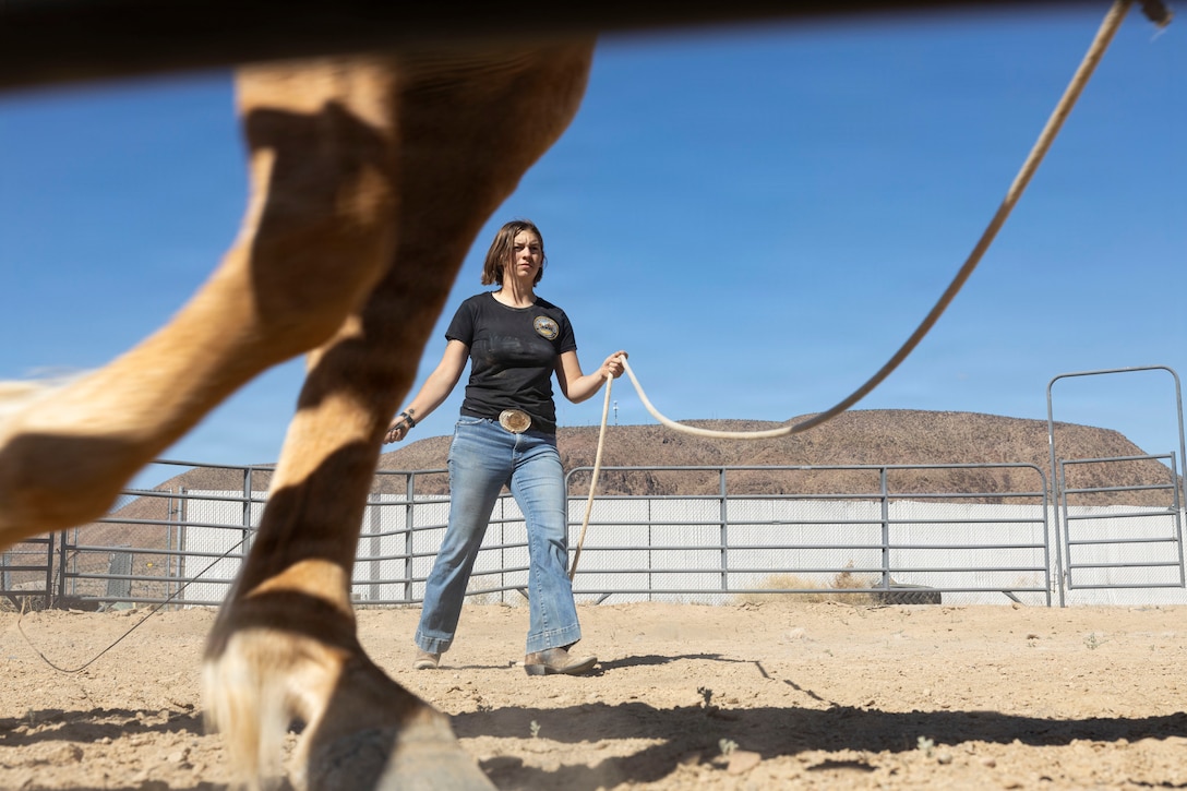 U.S. Marine Corps Col. Russell Savatt, the commanding officer of Marine Corps Logistics Base Barstow, rides Sunny at MCLB Barstow, Calif., April 15, 2026. The Marine Corps Mounted Color Guard, the only remaining Marine Corps equestrian unit, is stationed at MCLB Barstow, where it trains and cares for its horses while supporting ceremonies and public events. (U.S. Marine Corps photo by Sgt. Davin Tenbusch)