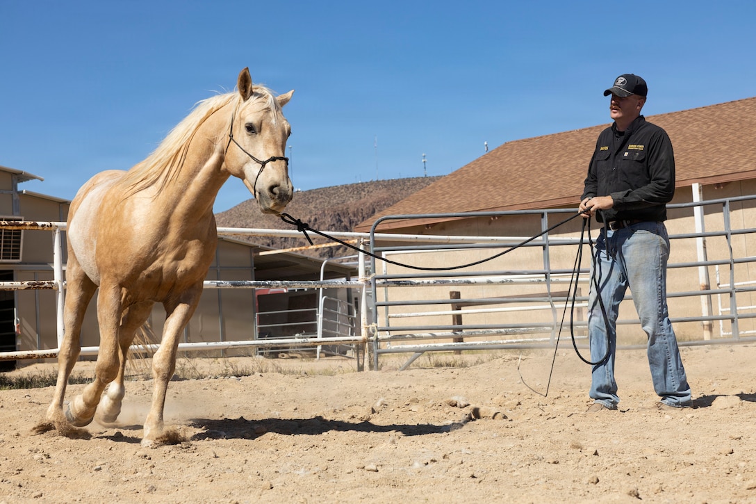 U.S. Marine Corps Col. Russell Savatt, the commanding officer of Marine Corps Logistics Base Barstow, rides Sunny at MCLB Barstow, Calif., April 15, 2026. The Marine Corps Mounted Color Guard, the only remaining Marine Corps equestrian unit, is stationed at MCLB Barstow, where it trains and cares for its horses while supporting ceremonies and public events. (U.S. Marine Corps photo by Sgt. Davin Tenbusch)