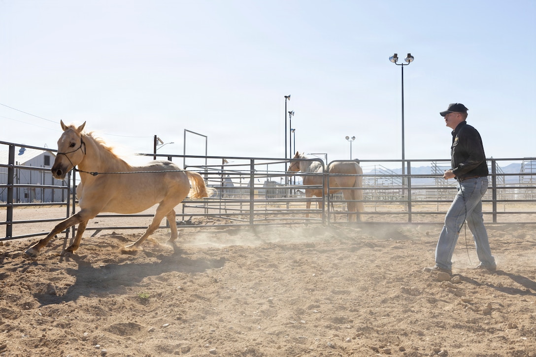 U.S. Marine Corps Col. Russell Savatt, the commanding officer of Marine Corps Logistics Base Barstow, rides Sunny at MCLB Barstow, Calif., April 15, 2026. The Marine Corps Mounted Color Guard, the only remaining Marine Corps equestrian unit, is stationed at MCLB Barstow, where it trains and cares for its horses while supporting ceremonies and public events. (U.S. Marine Corps photo by Sgt. Davin Tenbusch)