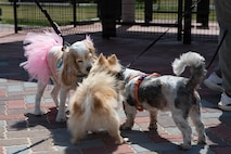 Photo by Sgt. Peter Rawlins