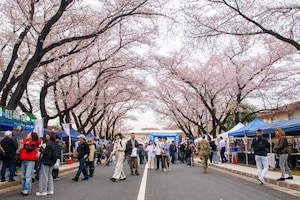 A crowd of people walk on a street lined by vendors.