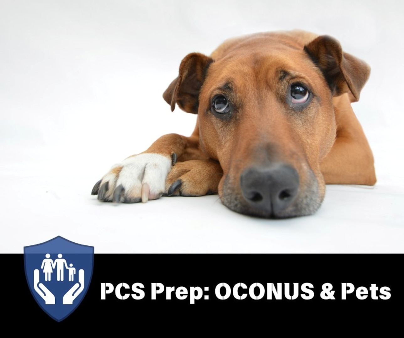 Service members preparing for a permanent change of station (PCS) outside the continental United States (OCONUS) with pets are encouraged to contact the installation veterinary clinic now to schedule a pet health certificate appointment.