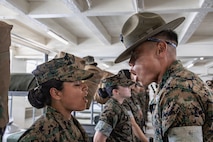 Golf Company Series Commander Inspection