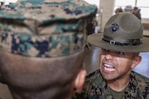 Golf Company Series Commander Inspection