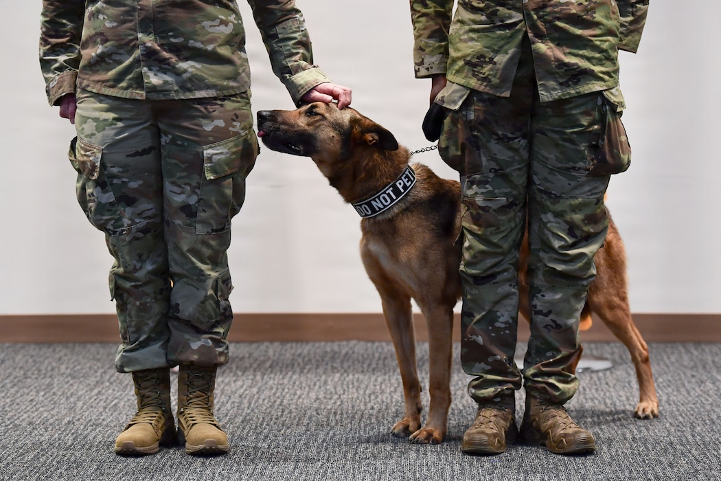 A dog stands near 2 people wearing military uniforms.