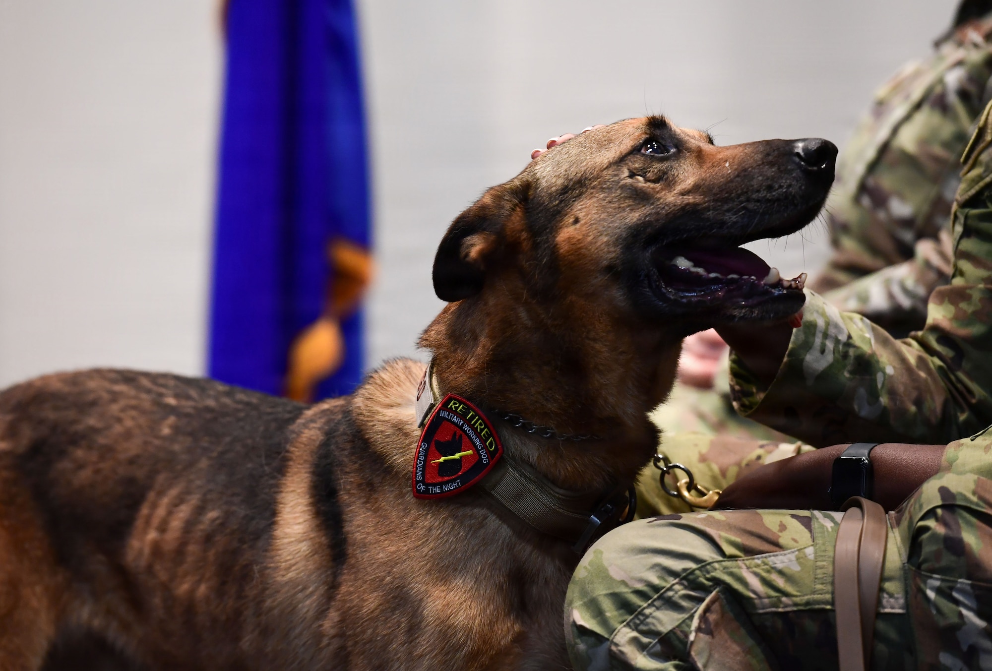 A dog wearing a retired badge stands near a person in military uniform.