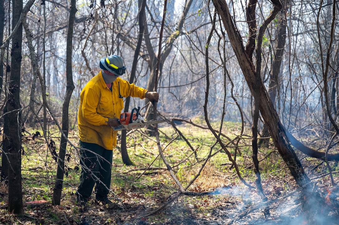 Shows a man in the middle of brush using a chainsaw to cut down tree overhang.