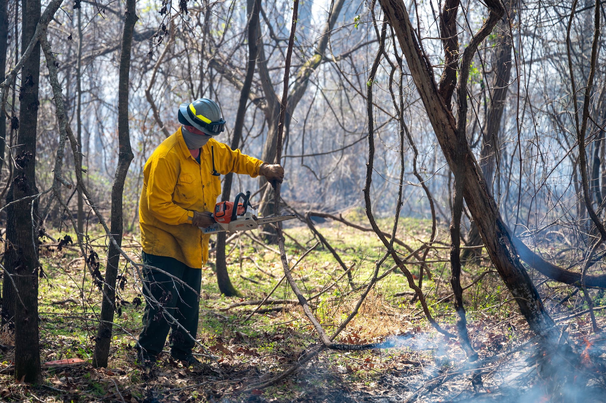 Shows a man in the middle of brush using a chainsaw to cut down tree overhang.