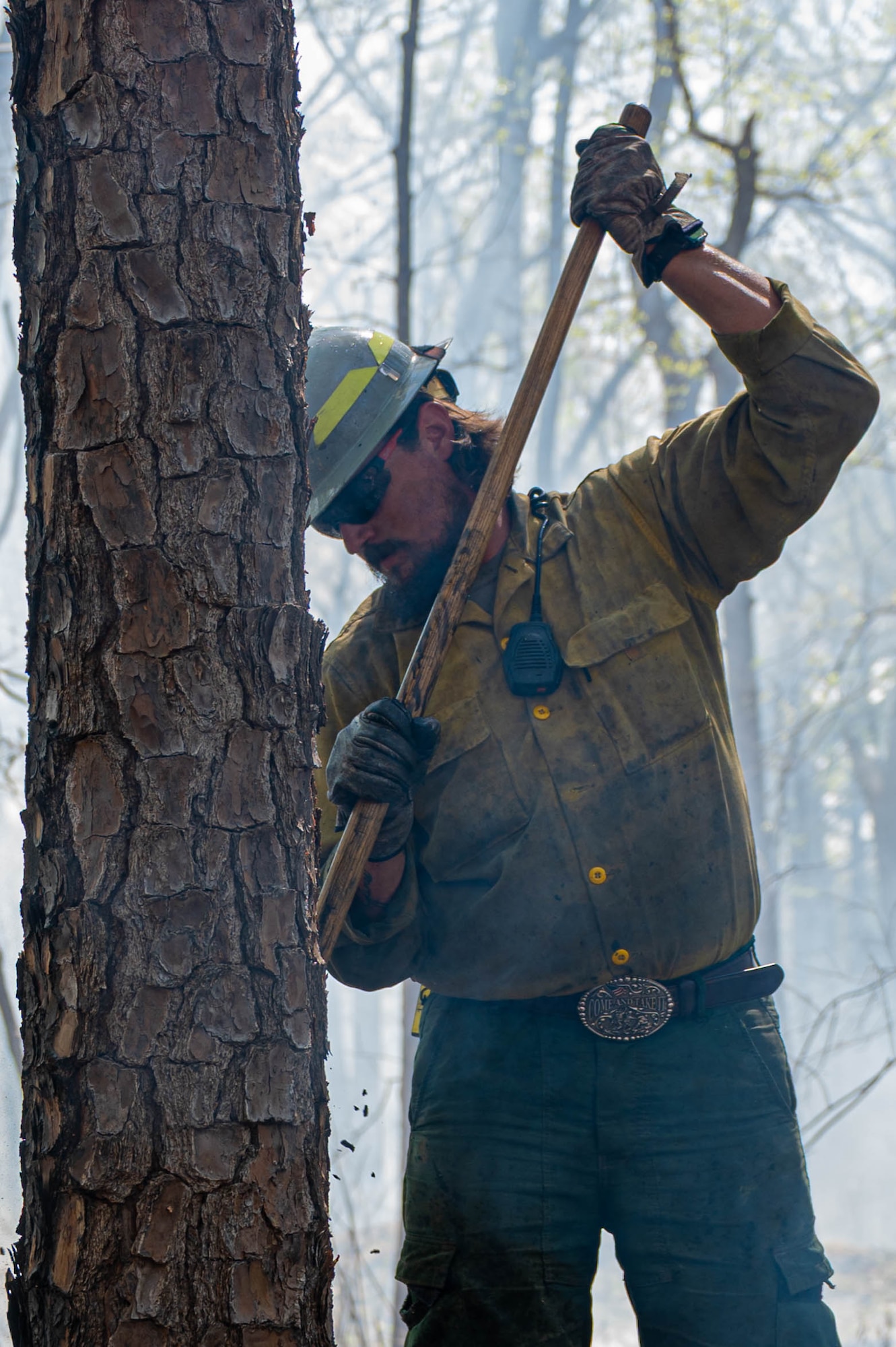 Shows a man holding a took that is being used to scrape burning embers off of a tree.