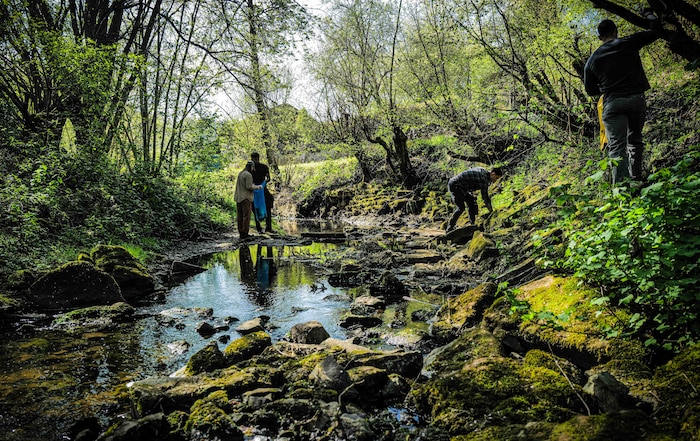 Volunteers search the Spangerbach creekbed for debris during the annual creek cleanup in Spangdahlem, Germany, April 25, 2026. The cleanup, organized annually since 1999, brings together German residents and U.S. service members to protect the local watershed. (U.S. Air Force photo by Master Sgt. Alexander W. Riedel)