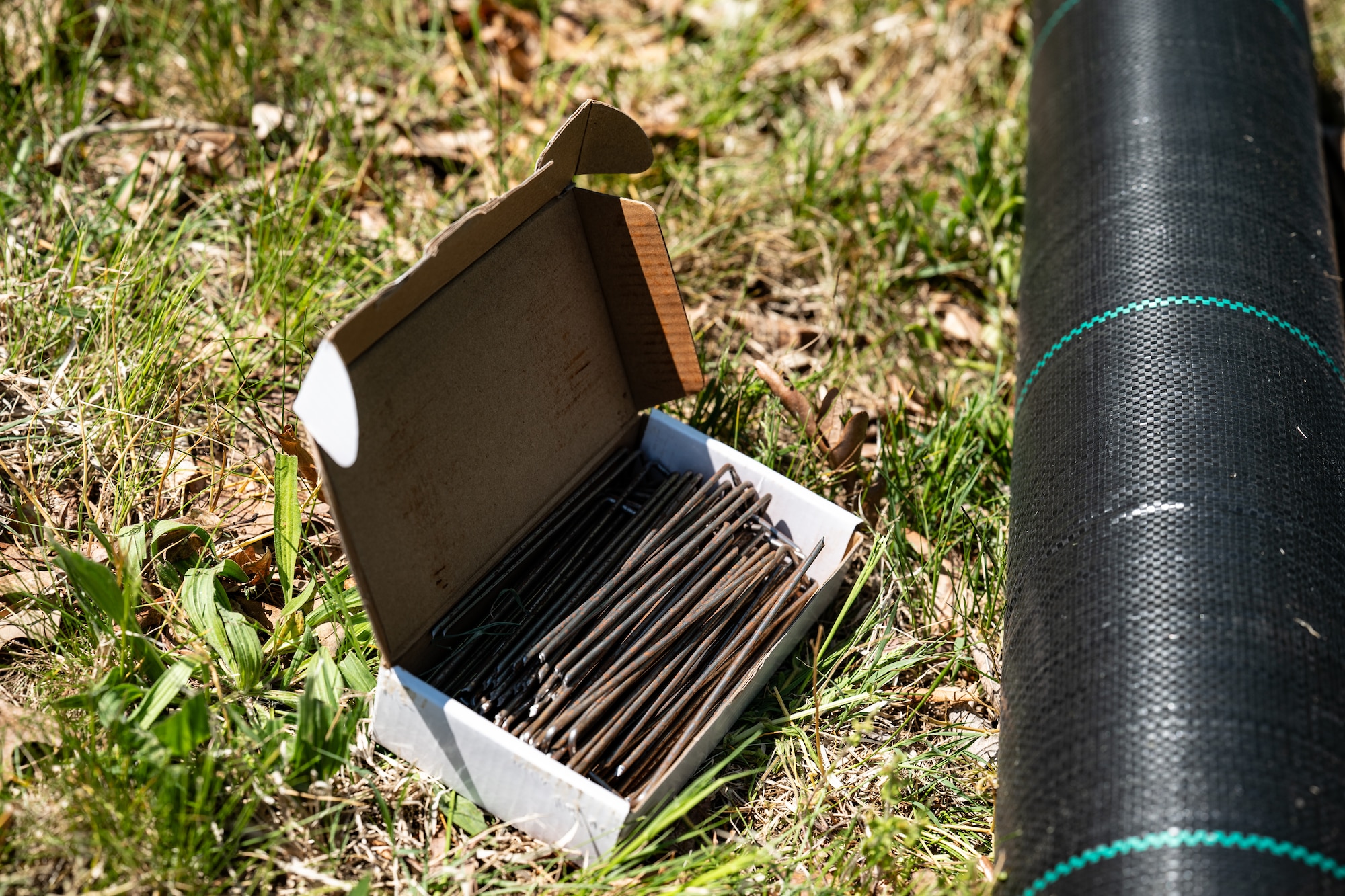 Team Dover Airmen are laying the groundwork for a future pollinator garden by covering an area on base with cardboard and weed-barrier fabric to prevent unwanted growth before planting begins. This process helps eliminate plant competition, allowing pollinator-friendly plants the best chance to thrive.