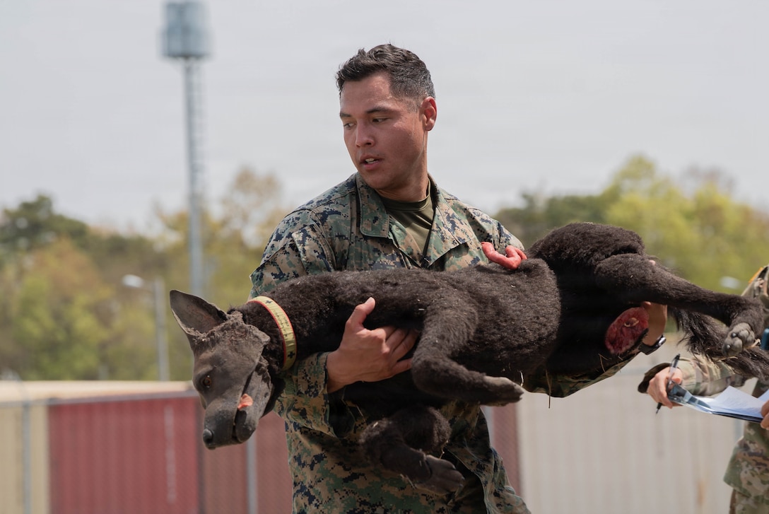 U.S. Marine Corps Cpl. David Ruiz, assigned to Headquarters and Headquarters Squadron, U.S. Marine Corps Military Working Dog Program, returns to cover with a training aid casualty during K9 Tactical Combat Casualty Care at the Combined Military Working Dog Competition 2026 at Camp Humphreys, South Korea, April 23, 2026. The event allows competitors to demonstrate competencies in real-world war-fighting scenarios, combining advanced tactics and lifesaving procedures while reinforcing the overall readiness of joint and combined military working dog teams across the Indo-Pacific region. (U.S. Army photo by Sgt. Martin Nalls)