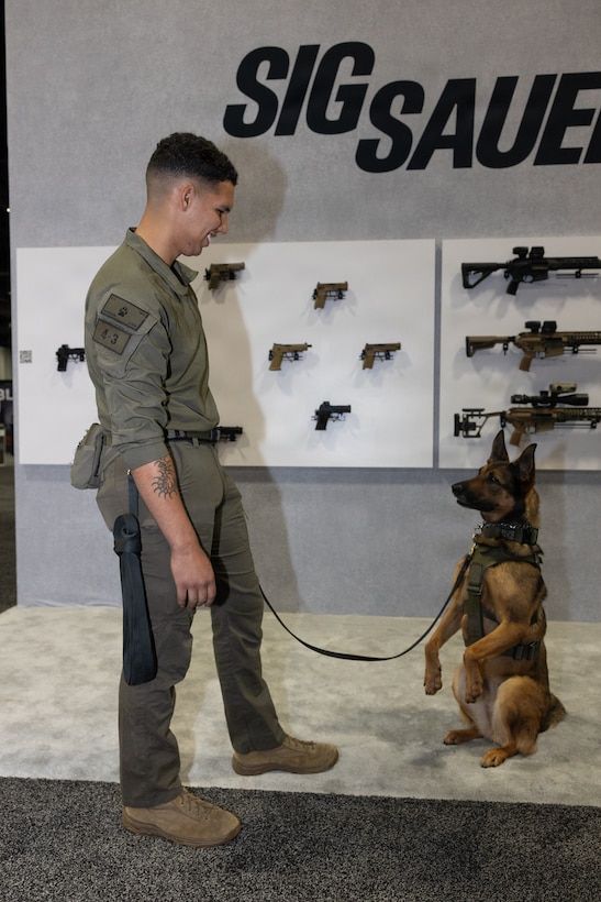 USMC
