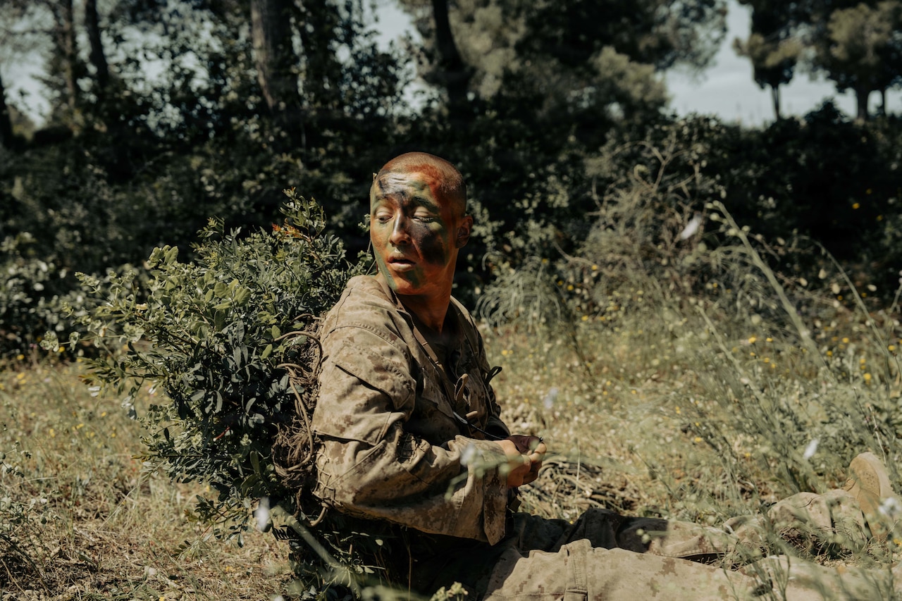 A man in a camouflage military uniform and face paint sits in a field trying to attach shrubbery to his body to help camouflage himself.