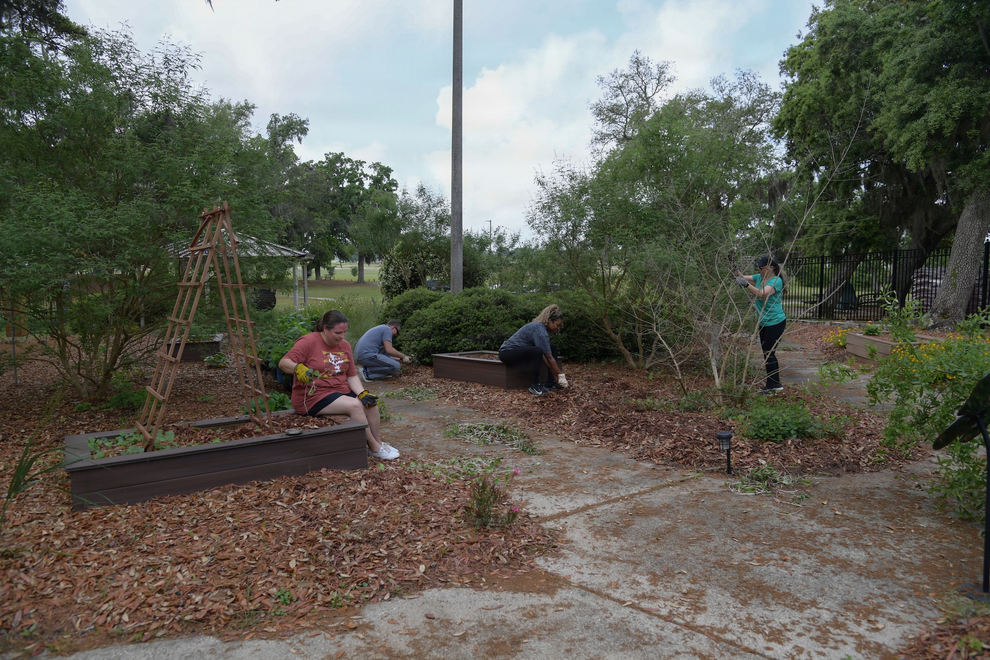 People are pulling weeds in a landscape area.