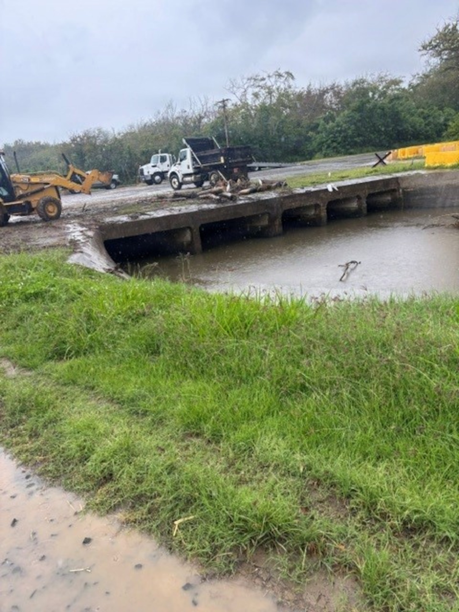 Bellows Air Force Station identified an upstream bridge being blocked by invasive ironwood trees following the storms.