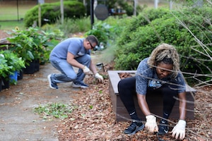 People are pulling weeds and landscape.