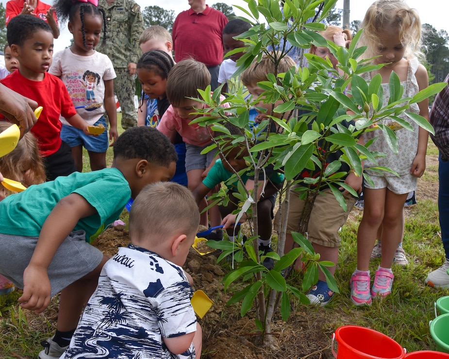Celebrating Arbor Day