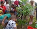 Celebrating Arbor Day