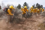 U.S. Army Soldiers in the Nevada Army National Guard conduct a line construction exercise at the Nevada Division of Forestry's western area headquarters in Washoe Valley, Nevada, April 23, 2026. The Nevada Army National Guard and Nevada Division of Forestry conducted annual joint training to certify Soldiers as Type 2 wildland firefighters, strengthening the state’s wildfire response capability through hands-on instruction and continued interagency partnership. Photo by Sgt. Adrianne Lopez.