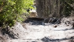 A bulldozer crew with 877th Engineer Company, 878th Engineering Battalion, 648th Maneuver Enhancement Brigade, Georgia National Guard helps clear burnt brush in support of wildland fire suppression efforts in Pineland, Georgia, April 29, 2026.