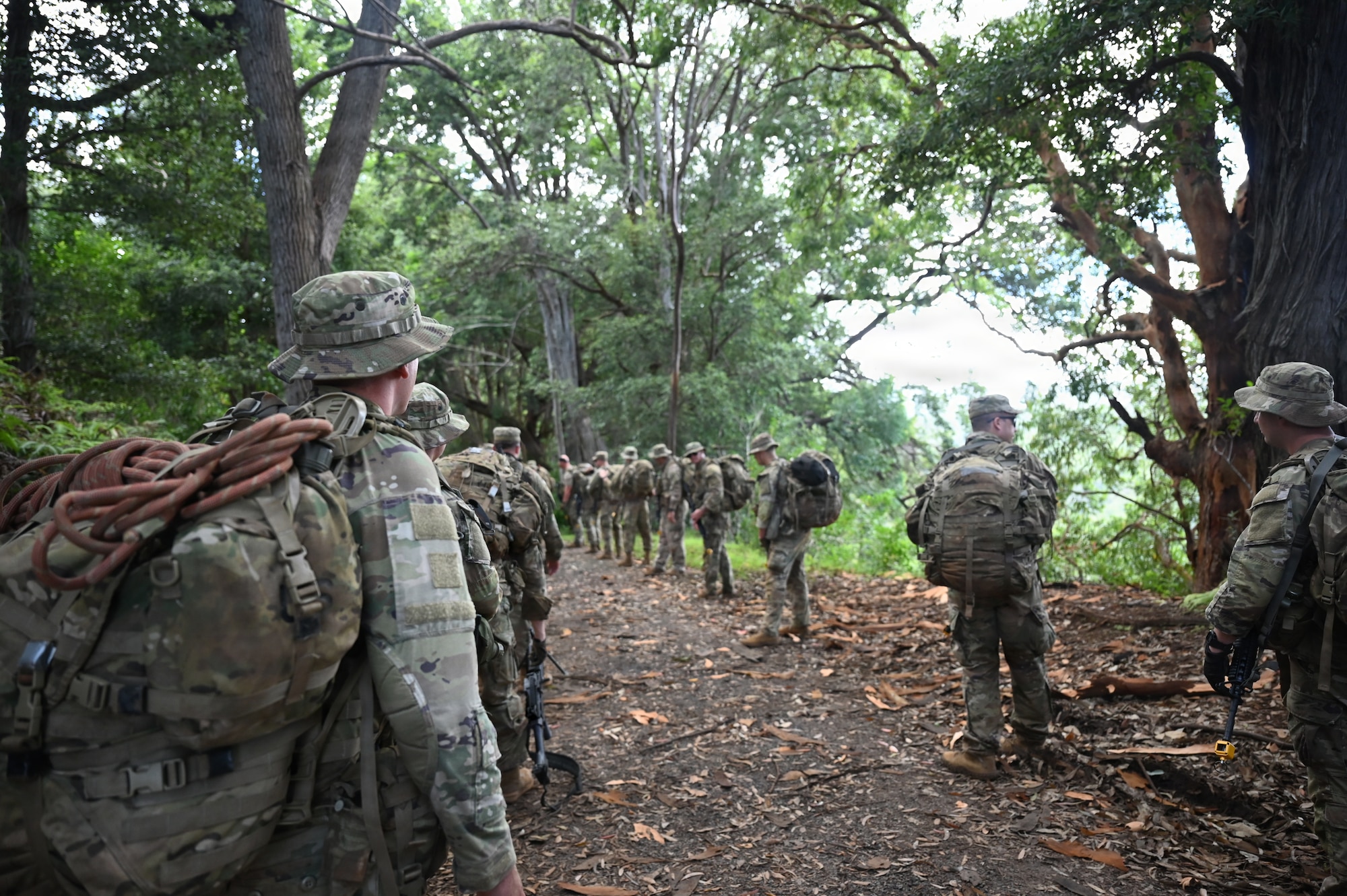 A Security Forces Airman assigned to the Ohio Air National Guard's 178th Security Forces Squadron hikes through the jungle terrain during annual training at Schofield Barracks, Hawaii, July 19, 2026. The training challenges Airmen to strengthen tactical proficiency, teamwork and expeditionary readiness while operating in unfamiliar terrain and austere conditions. (U.S. Air National Guard photo by Tech. Sgt. Tiffany Scofield)