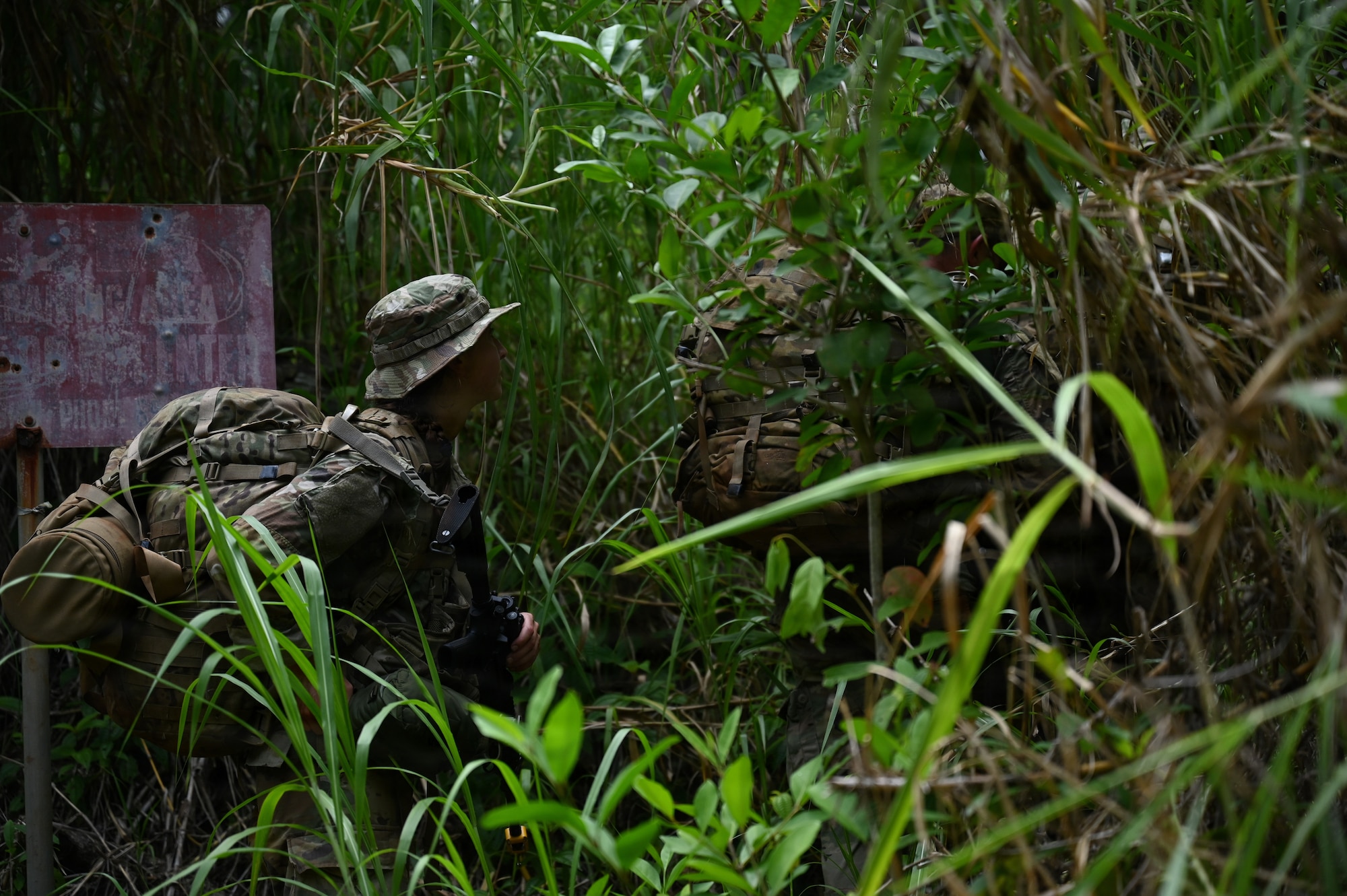 A Security Forces Airman assigned to the Ohio Air National Guard's 178th Security Forces Squadron hikes through the jungle terrain during annual training at Schofield Barracks, Hawaii, July 19, 2026. The training challenges Airmen to strengthen tactical proficiency, teamwork and expeditionary readiness while operating in unfamiliar terrain and austere conditions. (U.S. Air National Guard photo by Tech. Sgt. Tiffany Scofield)